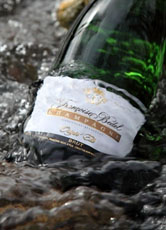Champagne bio Francoise BEDEL Champagne bio Francoise BEDEL