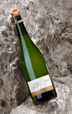 Champagne bio Francoise BEDEL