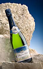 Champagne bio Francoise BEDEL