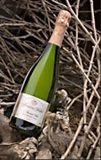 Champagne bio Francoise BEDEL Champagne bio Francoise BEDEL
